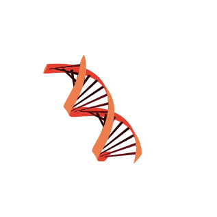 Kenapa-COVID-19-pc-1.png