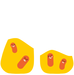 lung
