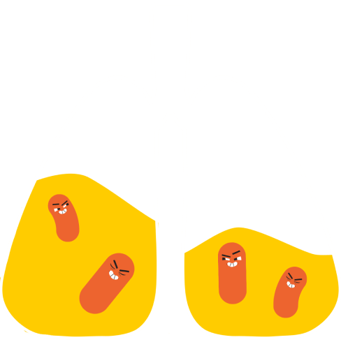 lung